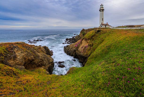 <p>Welcome to <strong>San Mateo Insider</strong> – your ultimate guide to everything happening in Sa...